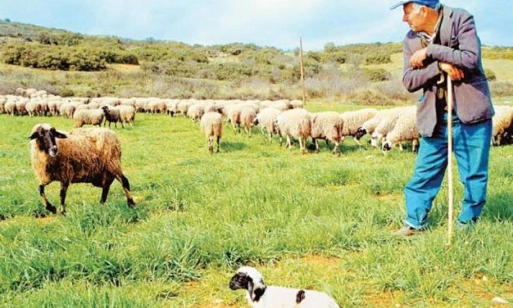 Επίδομα 600 ευρώ για τους κατοίκους ορεινών & μειονεκτικών περιοχών